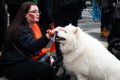 Tarrytown, NY - Oct 2025